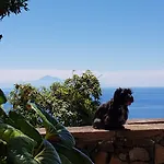 Corral De Payo * Breña Baja